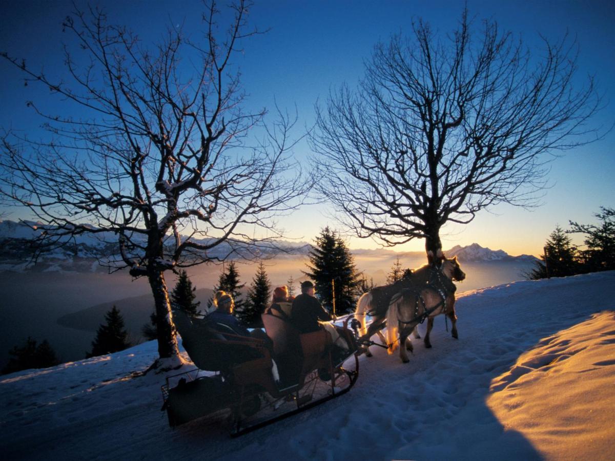 Chalet Bergli Rigi Kaltbad Eksteriør bilde